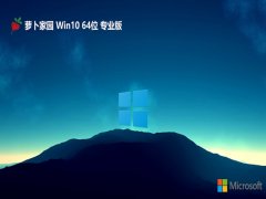 萝卜家园Windows 10 64位 专业版